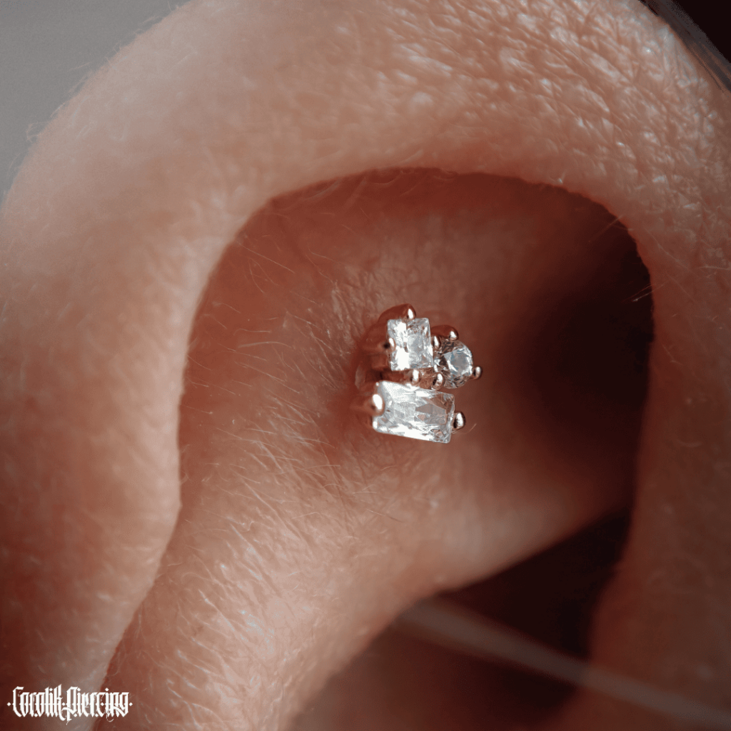 Adobe_Express_20241017_1250370_1