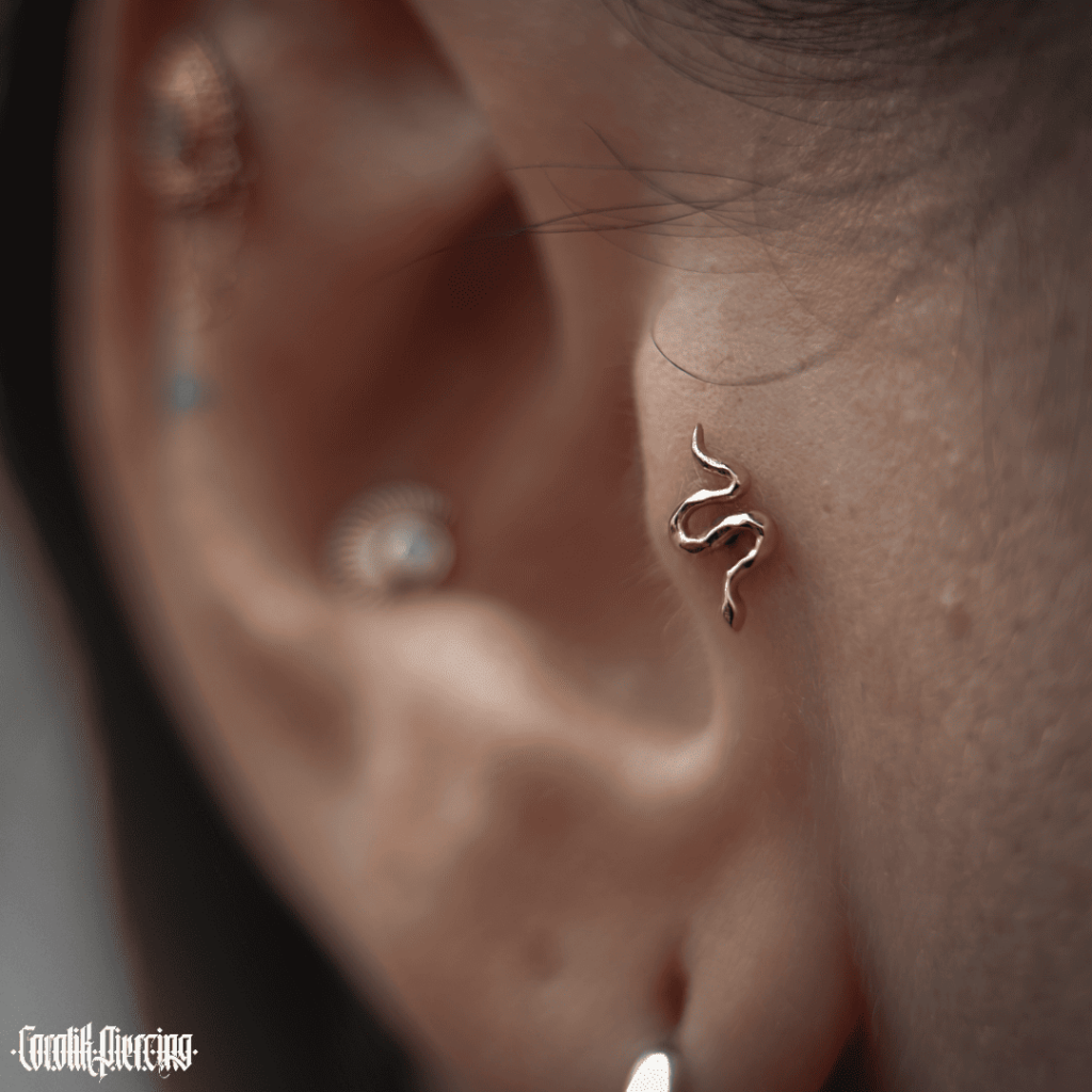 Adobe_Express_20241017_1256310_1