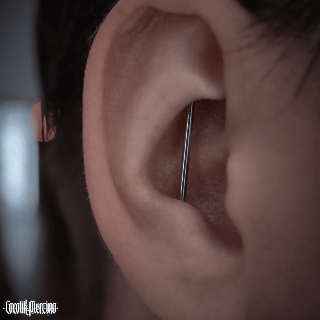 Adobe_Express_20241017_1300590_1